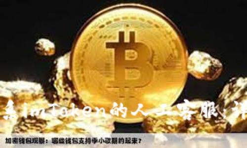 如何联系imToken的人工客服：详细指南