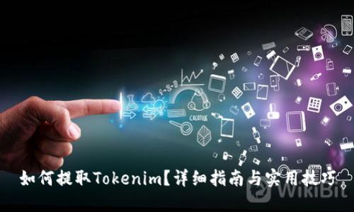 如何提取Tokenim？详细指南与实用技巧