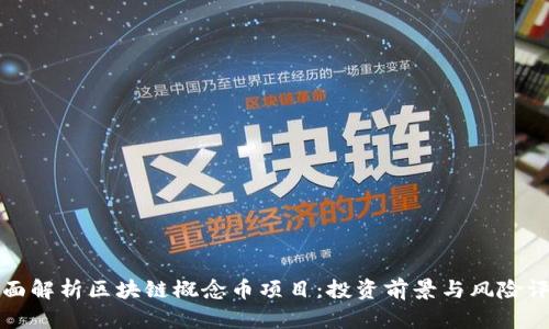 全面解析区块链概念币项目：投资前景与风险评估