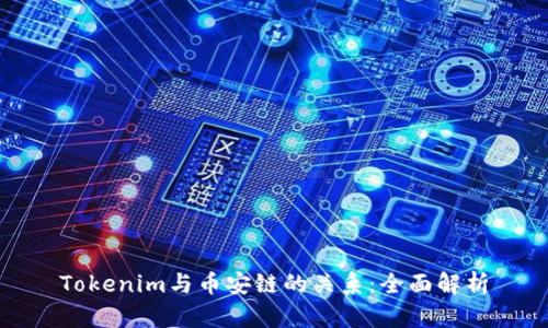 Tokenim与币安链的关系：全面解析