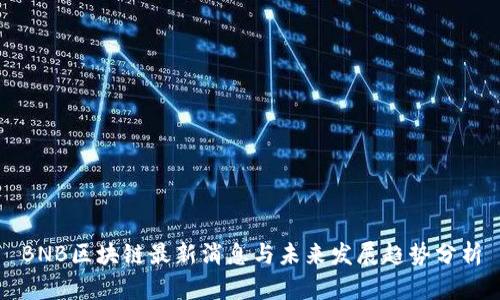 BNB区块链最新消息与未来发展趋势分析