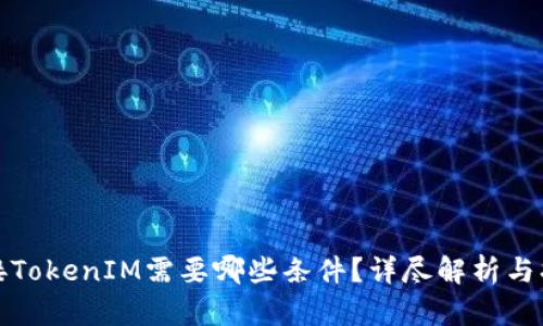对接TokenIM需要哪些条件？详尽解析与指南