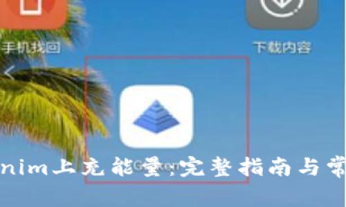 如何在Tokenim上充能量：完整指南与常见问题解答