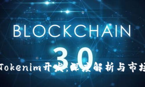 高仿Tokenim开发：深度解析与市场前景