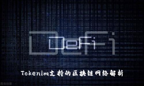 Tokenim支持的区块链网络解析