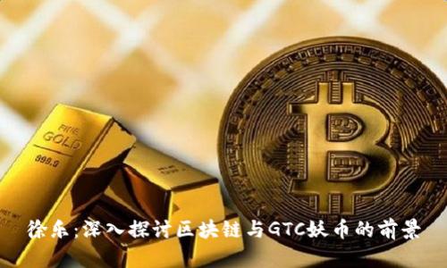 徐乐：深入探讨区块链与GTC妖币的前景