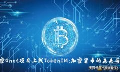 : 解密Onot项目上线TokenIM：