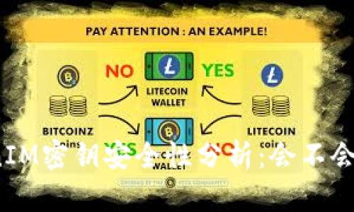 TokenIM密钥安全性分析：会不会被盗？