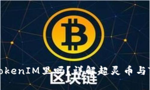 : 超灵币能放在TokenIM里吗？详解超灵币与TokenIM的兼容性