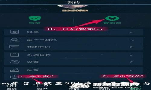 如何在Tokenim平台上放置SOL币：详尽指南与常见问题解答