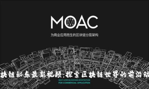 区块链秘乐最新视频：探索区块链世界的前沿动态