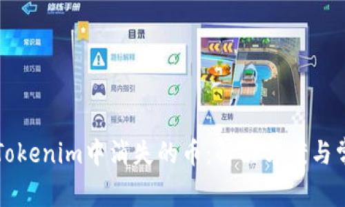 如何找到在Tokenim中消失的币：解决方案与常见问题解析