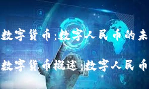 人民币区块链数字货币：数字人民币的未来与挑战

人民币区块链数字货币概述：数字人民币的前景与挑战