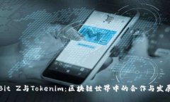 Bit Z与Tokenim：区块链世界