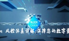 Tokenim 风控体系详解：保障