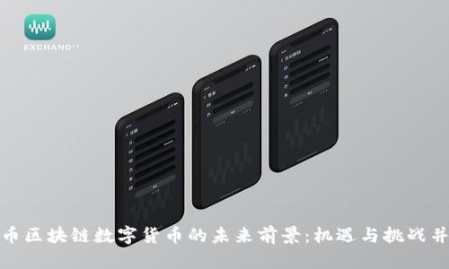 派币区块链数字货币的未来前景:机遇与挑战并存