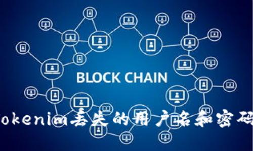 如何找回Tokenim丢失的用户名和密码？详细指南