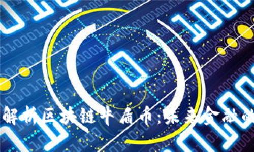 深入解析区块链牛盾币：未来金融的新星