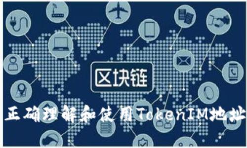 如何正确理解和使用TokenIM地址格式