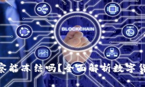 TokenIM警察能冻结吗？全面解析数字货币安全问题