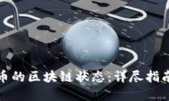 如何查狗狗币的区块链状态：详尽指南与实用工